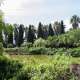 ...che permette l�attraversamento di un sorprendente laghetto artificiale, simbolo dell�orto botanico